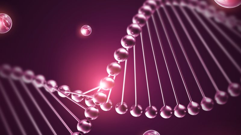 华盛生物有限公司