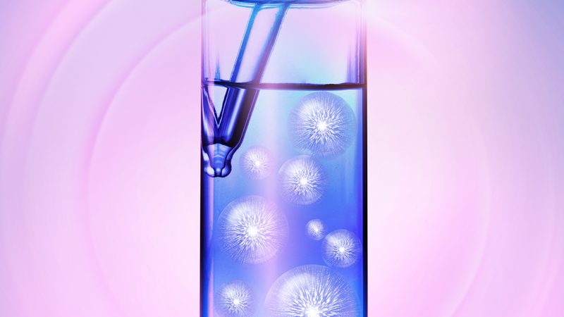 全基因组测序服务，报价背后的考量因素**