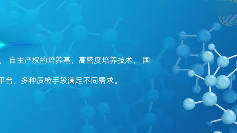 临床前研究外包流程：揭秘药物研发的“秘密花园”**