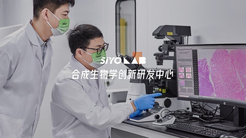 提升CRO转化率：揭秘高效转化背后的优化策略
