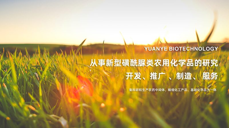 抗体定制纯化：揭秘高效、精准的制备之道**