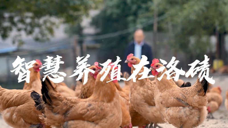 实验室耗材定制：如何选择合适的厂家