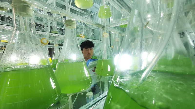 生物医药外包实验室资质认证：标准与要点解析